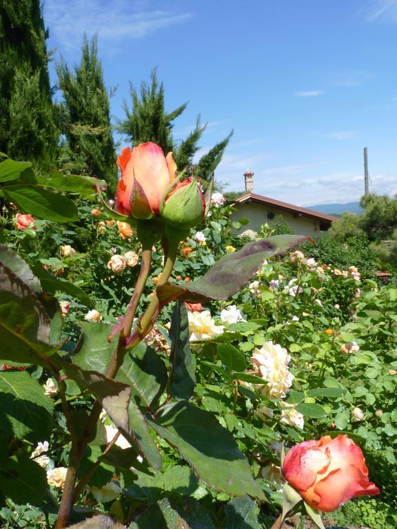 B&B The Roses Garden Millesimo Exterior photo