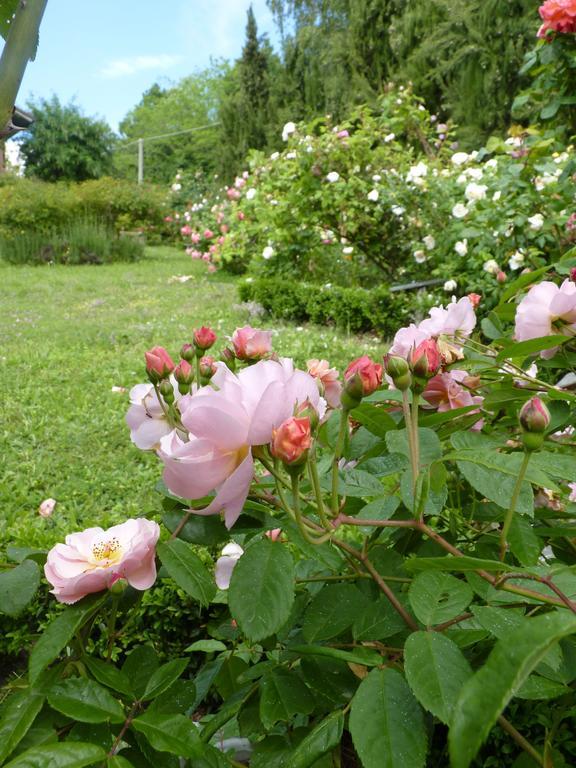 B&B The Roses Garden Millesimo Exterior photo