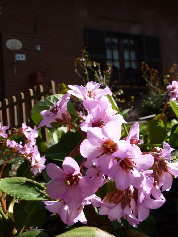 B&B The Roses Garden Millesimo Exterior photo