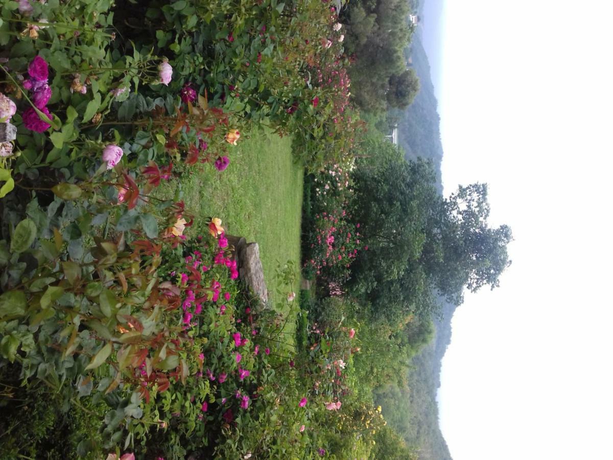 B&B The Roses Garden Millesimo Exterior photo